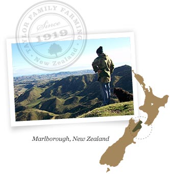 Marlborough New Zealand